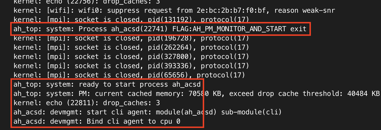 System output showing crashed process
