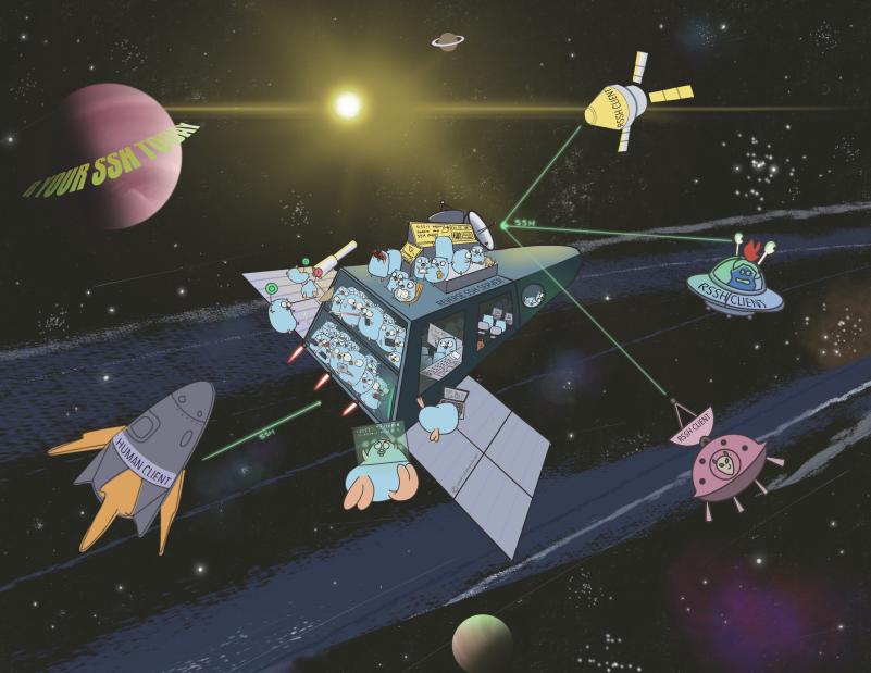 Reverse SSH A Fast Stable Reverse Shell Handler Aura Research Division